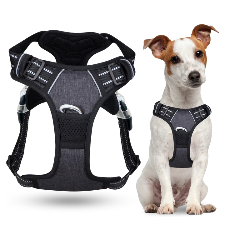 Pull Dog Harness